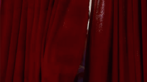 Open The Curtain Abe Applebaum GIF