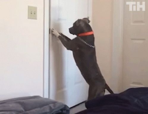 Opening Door This Is Happening GIF