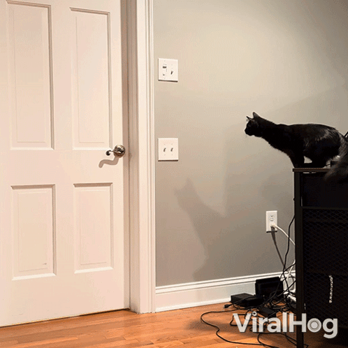 Opening The Door Viralhog GIF