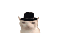 Oppenheimer Cat Oppie Sticker