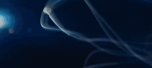 Oppenheimer Oppenheimer Movie GIF