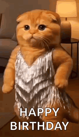 Orange Cat Dancing GIF