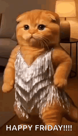 Orange Cat Dancing GIF