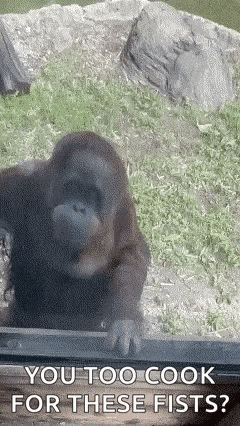 Oranguta Pointing Finger GIF