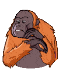 Orangutan Telegram Orangutan Sticker