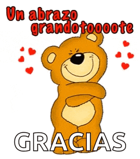 Oso Abrazo Amor GIF
