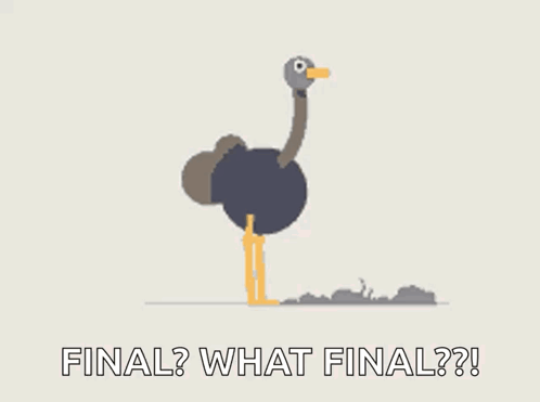 Ostrich Burried GIF