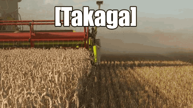 Osu Takaga GIF