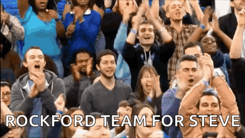 Other Team Crowd GIF