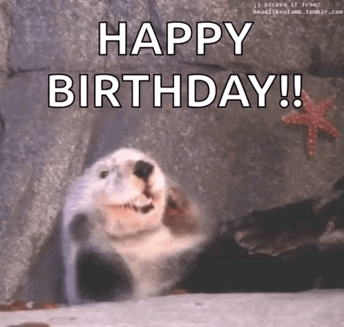 Otter Happy GIF
