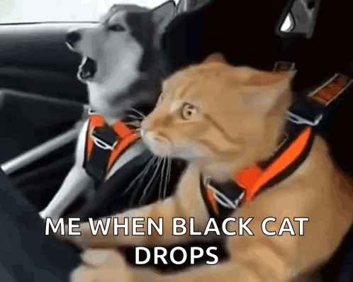 Otw Omw GIF