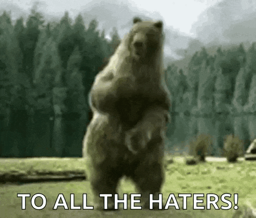 Ours Eliott GIF
