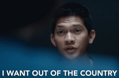 Out Out Of The Country GIF