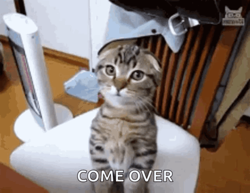 Over Here GIF