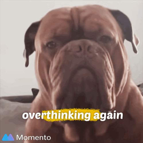 Overthinking Don'T Overthink GIF