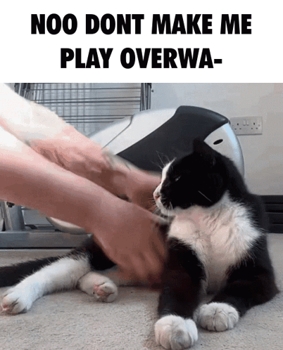 Overwatch Meme GIF