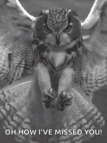 Owl Claws GIF
