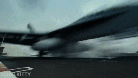 Owlkitty Plane GIF