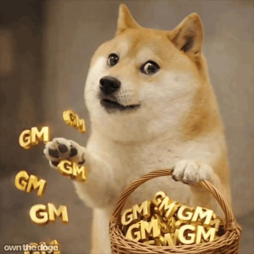 Own The Doge Dogecoin GIF