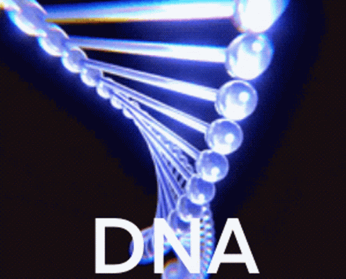 Pacific Biosciences Dna Sequencing GIF