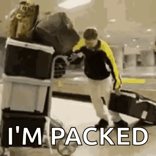 Packing Bags Airport GIF