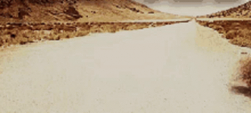 Paja Desierto GIF