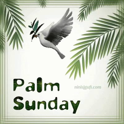 Palm Sunday Dove GIF