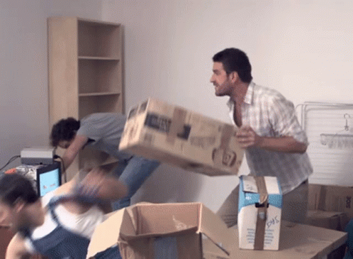 Palmashow Déménagement GIF