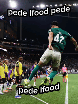 Palmeiras Corinthians GIF
