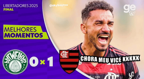 Palmeiras Vice Varmeiras Vice GIF