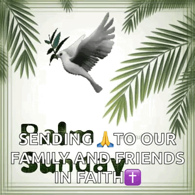 Palmsunday Dove GIF
