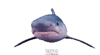 Pana Panagiotis Sticker