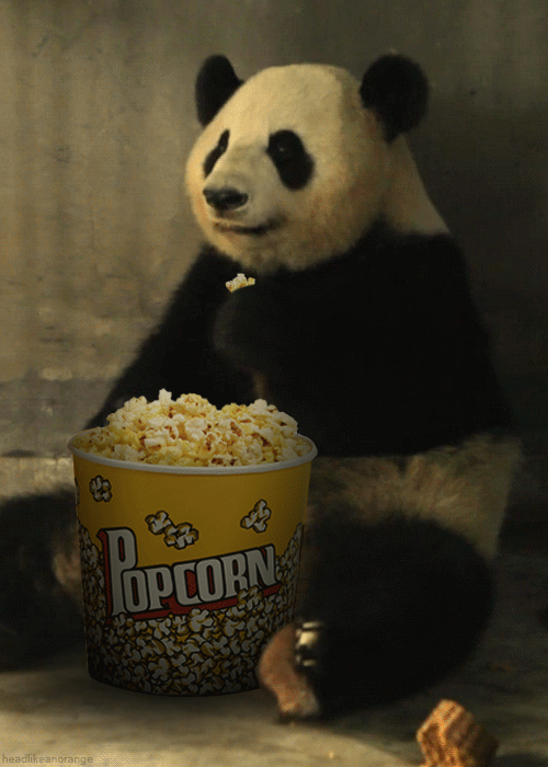Panda Eating Popcorn GIF. This 500 x 700 animated GIF is part of our get your popcorn ready collection. Related themes include popcorn. View the original…