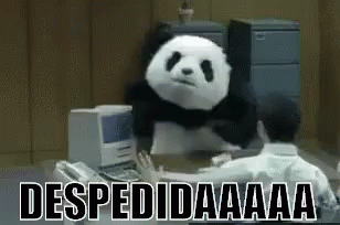 Panda Enfadado Despedida GIF
