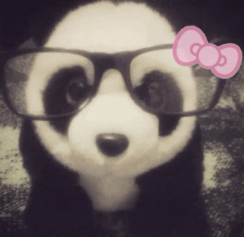 Panda Meme