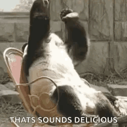 Panda Sad GIF
