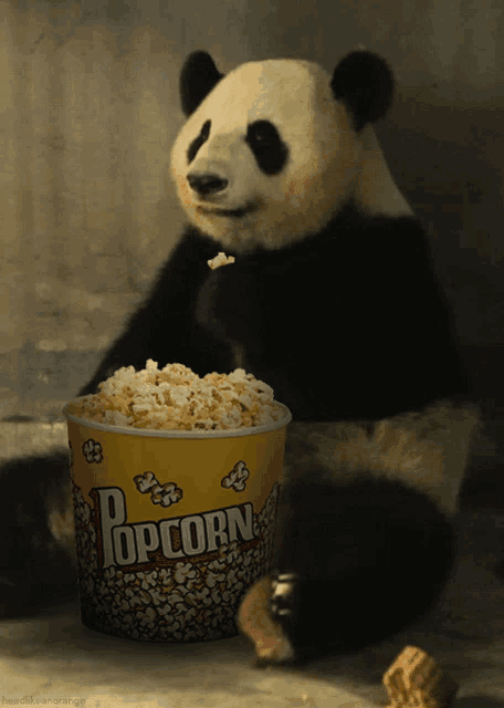 Pandacorn GIF