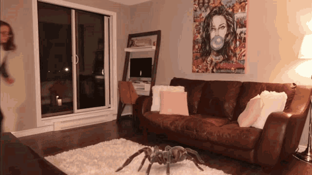 Pandh Paandho GIF