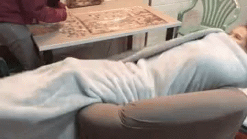 Panic Burrito GIF