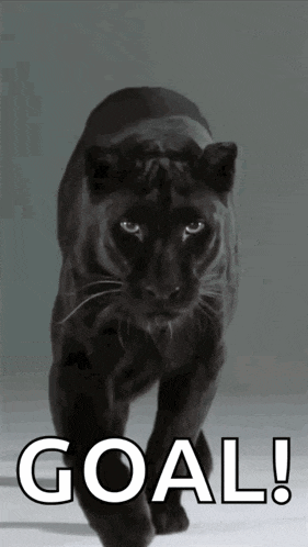 Panther Black Panther GIF