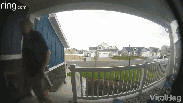 Pants Fall Pants Malfunction GIF