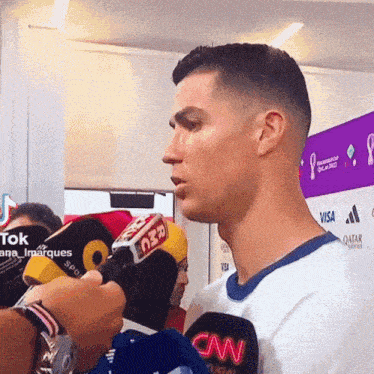 Papsvivs GIF