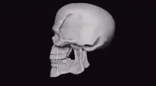 Papyrus GIF