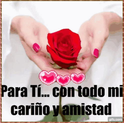 Para Ti Carino Amistad GIF