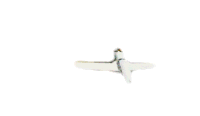 Parachute Skydive Sticker