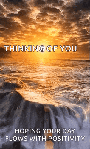 Paradise GIF
