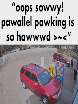 Parallel Parking Pawallel Pawking GIF