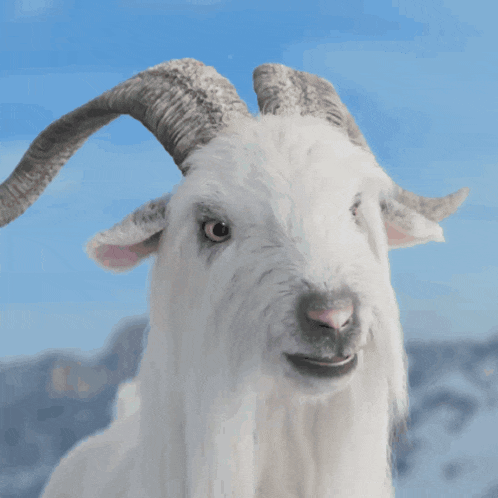 Paramount Plus Paramount GIF
