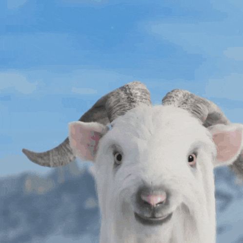 Paramount Plus Paramount GIF