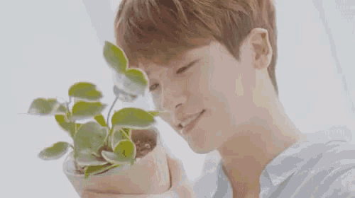 Park Hyung Sik Hyungsik GIF
